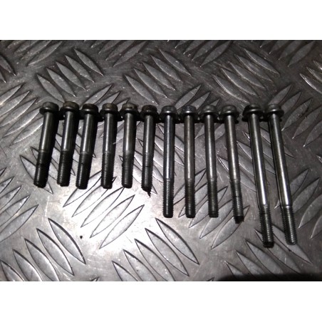 Vis de carters moteur centraux 450 YZF 14 - 17 / 450 WRF 16 - 18