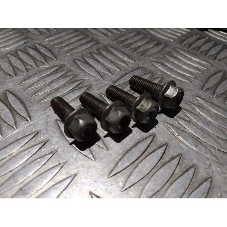 Vis de boucle 250 YZF 15 - 18 / 450 YZF 14 - 17