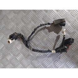 Faisceau 250 YZF 10 - 13