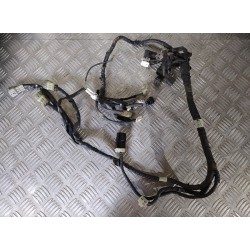 Faisceau principal 250 WRF...