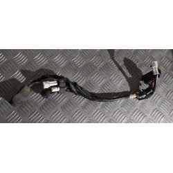 Faisceau 250 YZF 10 - 13