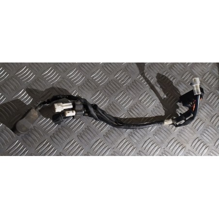 Faisceau 250 YZF 10 - 13