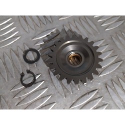 Pignon de pompe à huile 250...