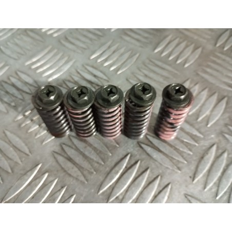 Ressorts + vis d'embrayage 250 YZF 01 - 07