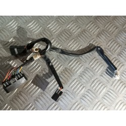 Faisceau 250 YZF 03 - 05 /...