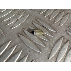 Pointeau de carburateur 250...