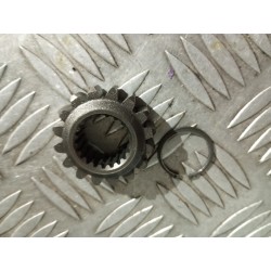 Pignon de 2ème ( arbre...