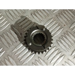 Pignon de 5ème ( arbre...