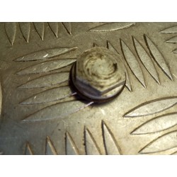 Bouchon de vidange de...