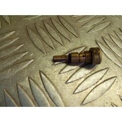 Vis de raccord d'essence de...