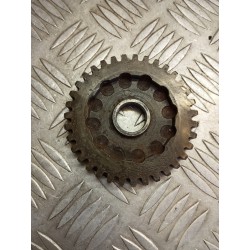 Pignon entraîneur de kick...