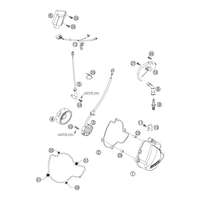 Couvercle d'allumage 250 SXF 06