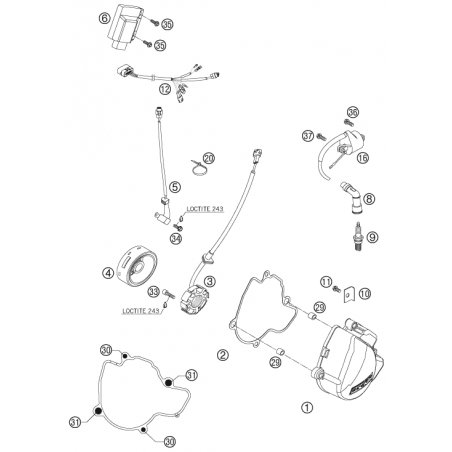 Couvercle d'allumage 250 SXF 06